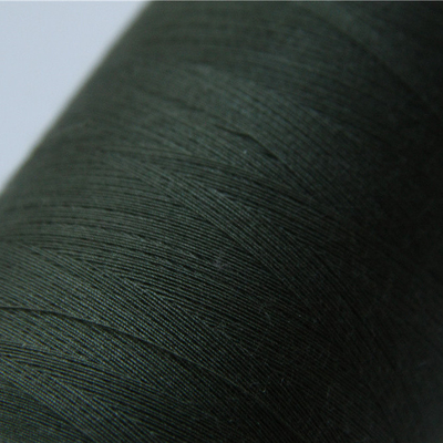 FRのユニフォームのためのメタAramid Amyの緑の縫う糸40/3